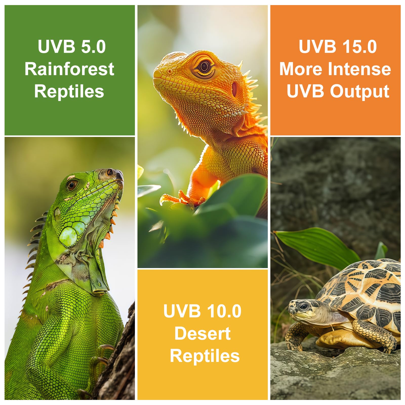 GREENPAW UVB Light long-life tube lasts up to 10,000 hours.