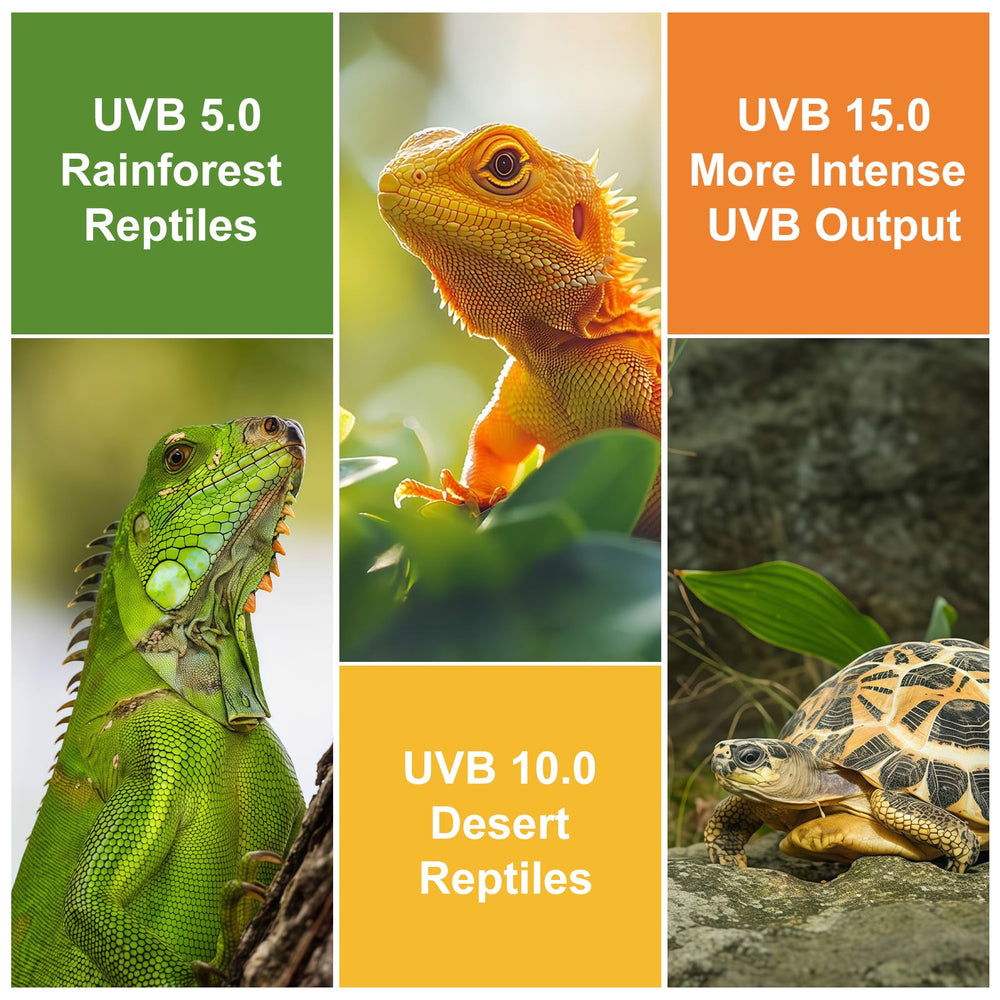 GREENPAW UVB Light long-life tube lasts up to 10,000 hours.