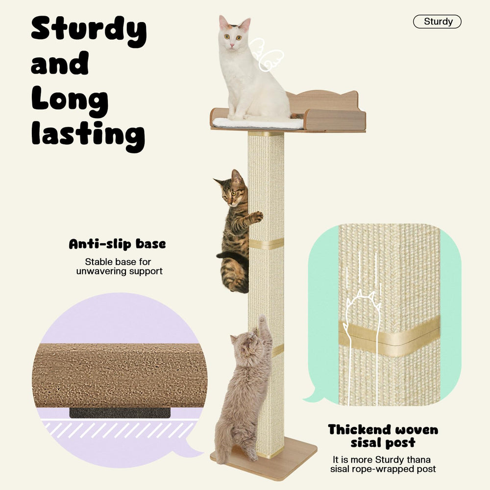 GreenPetopia cat window bed cushion showcases plush comfort for sunny, relaxing naps.