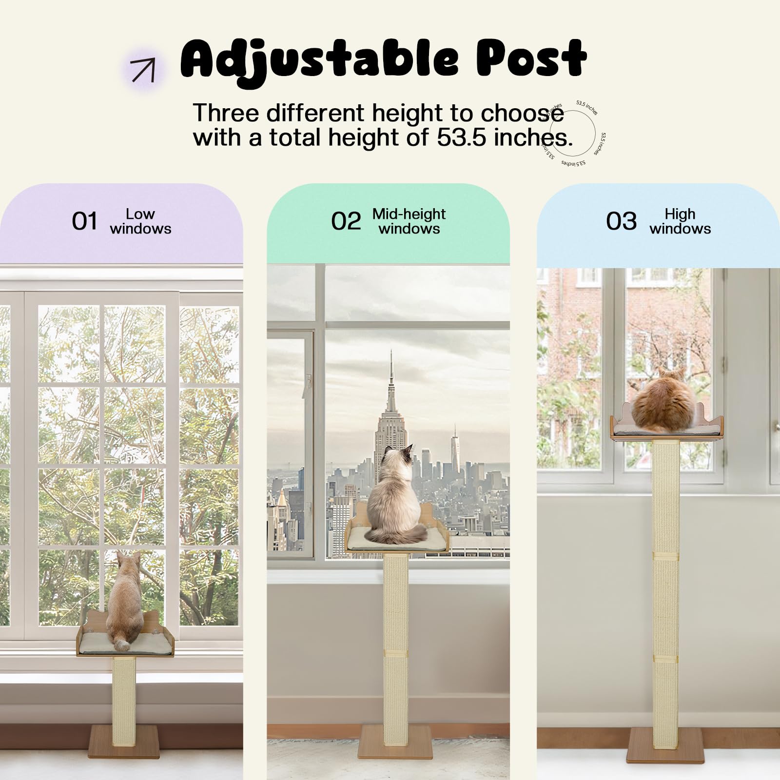 GreenPetopia cat window perch large perch offers ample space for big cats.