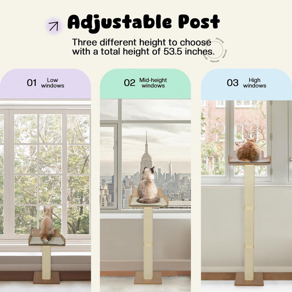 GreenPetopia cat window perch large perch offers ample space for big cats.