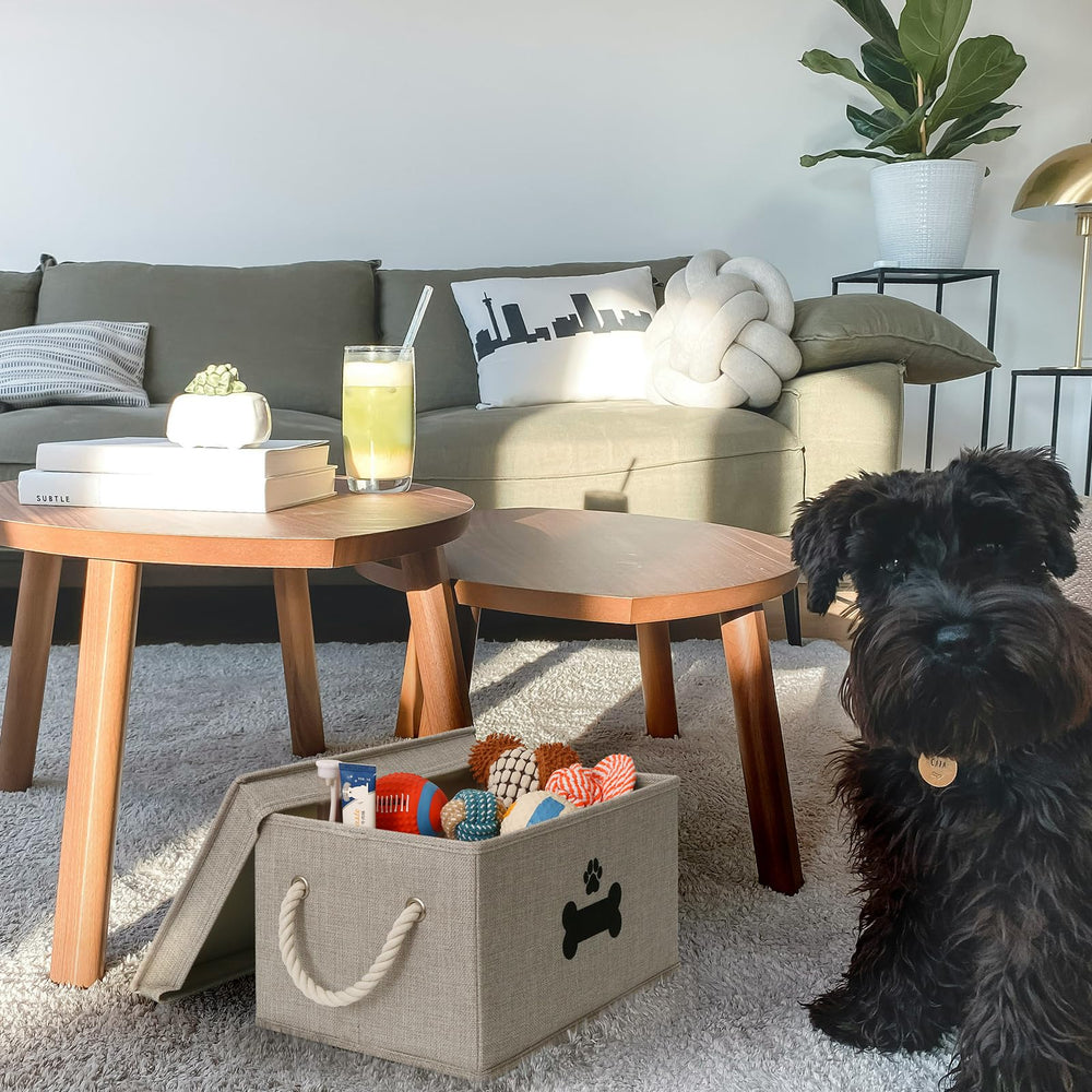 GreenPetopia dog-toy-basket-filled-with-toys demonstrates organized play area.