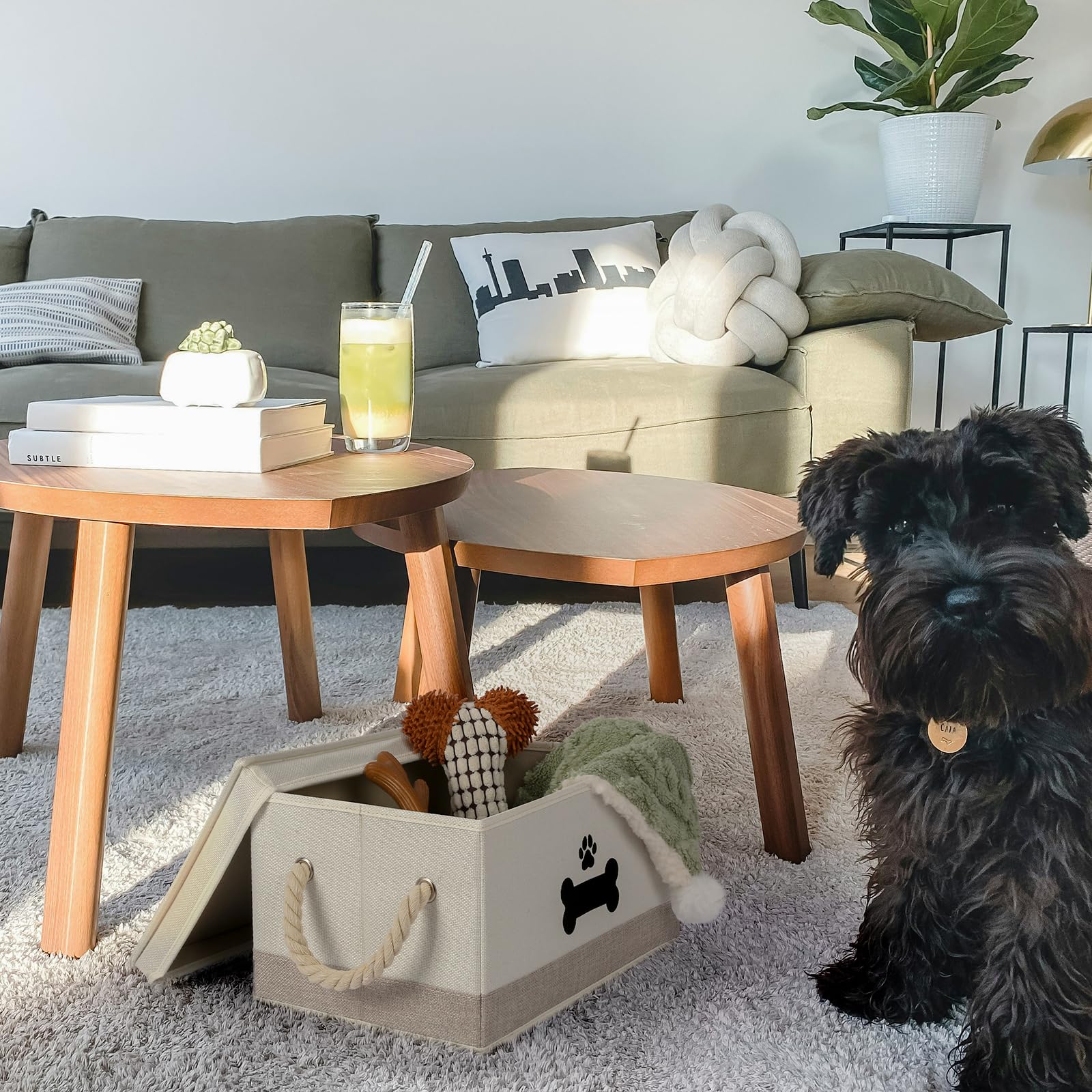 GreenPetopia dog toy basket in living room demonstrates neat organization and quick access.