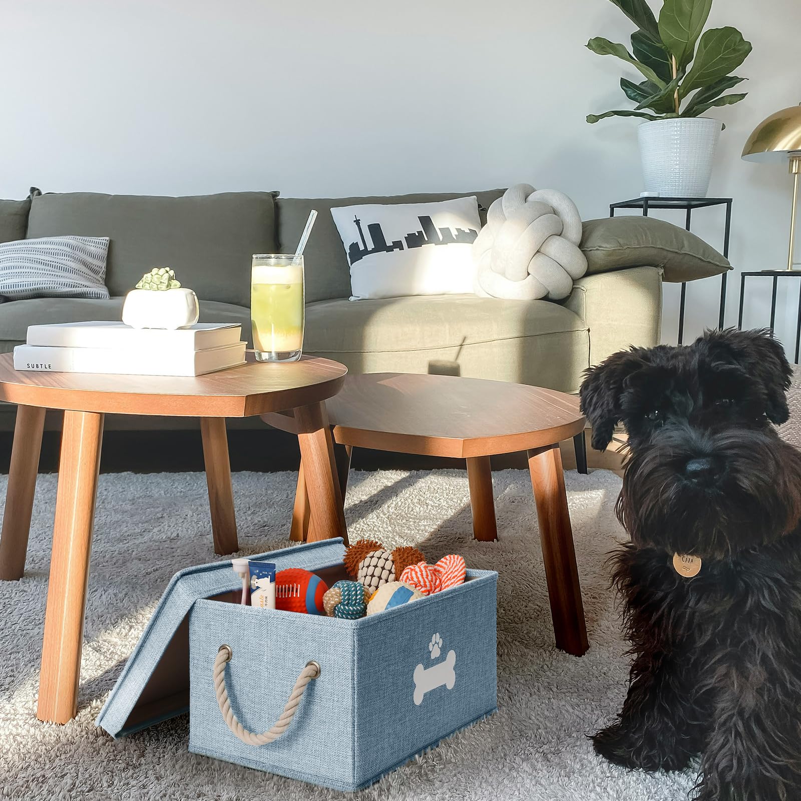 GreenPetopia dog toy bin with cotton rope handles is easy to lift for toy storage.