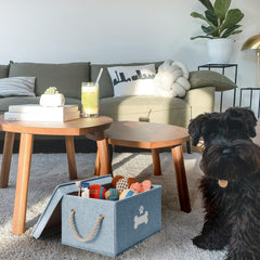 GreenPetopia dog toy bin with cotton rope handles is easy to lift for toy storage.