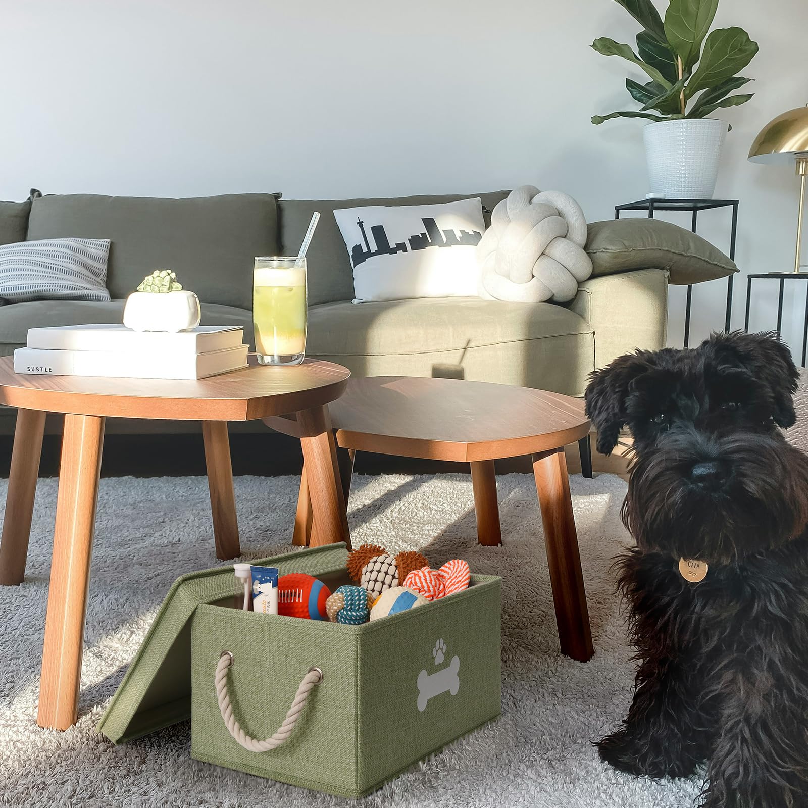 GreenPetopia living-room toy organizer keeps pet gear within reach.