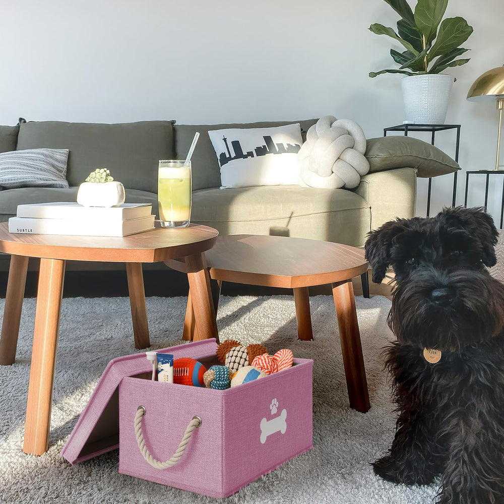 GreenPetopia pink toy bin in living room scene for tidy play area