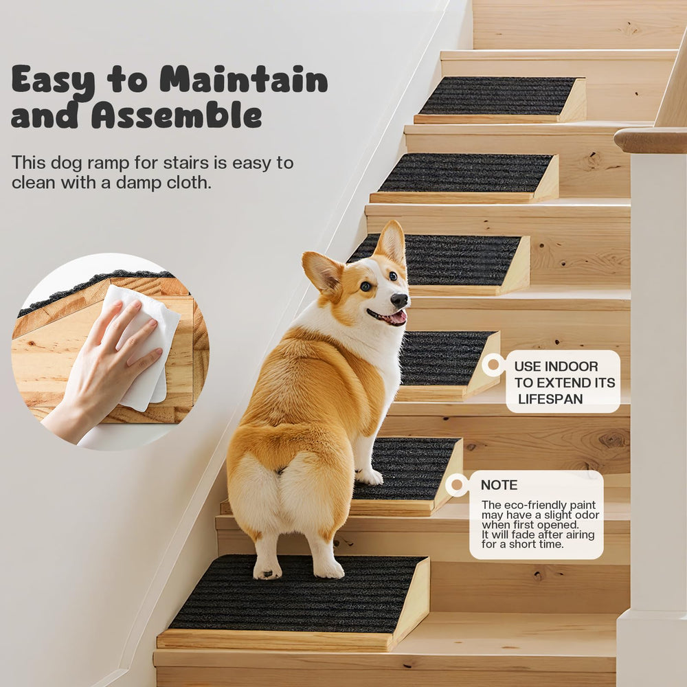 GreenPetopia indoor use ramp with easy cleaning and assembly