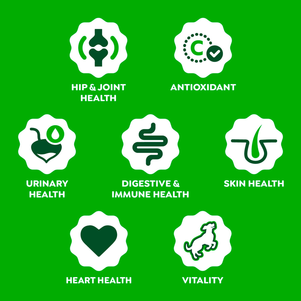 Greenies digestive health image featuring postbiotic yeast culture