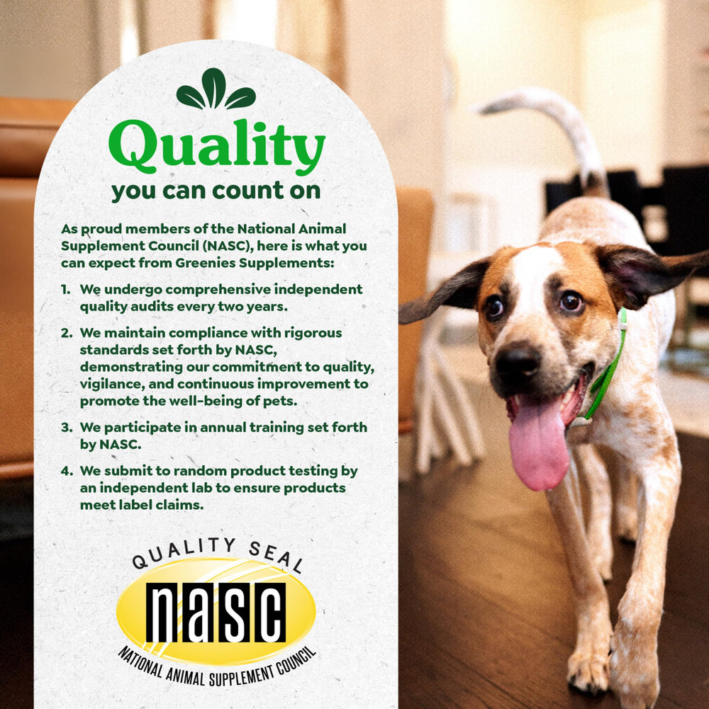 Greenies omega-3 skin health and coat care visual