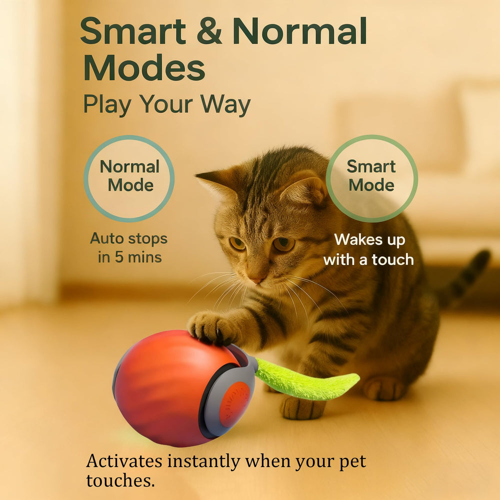 GREFID cat toys feather pendant enhances chase play with feathered attractor for cats.