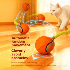 GREFID cat toys two feather tails invites active, playful stalking for bored kitties.