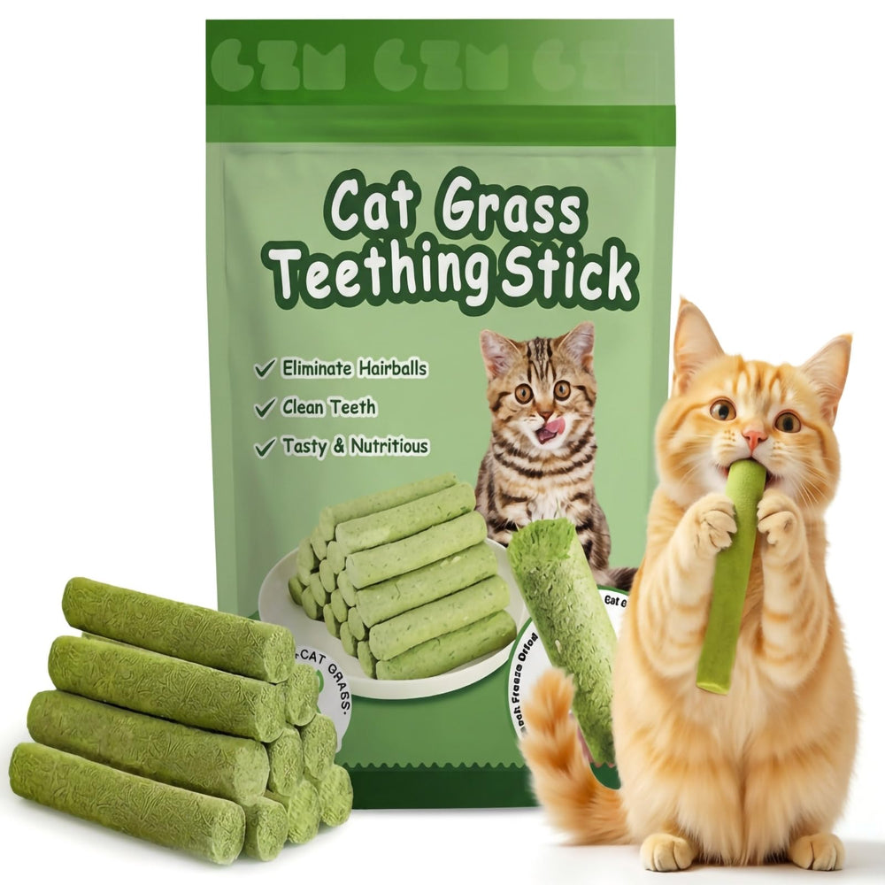 GREMBEB 6-pack cat toys packaging shows safe, engaging indoor play options.