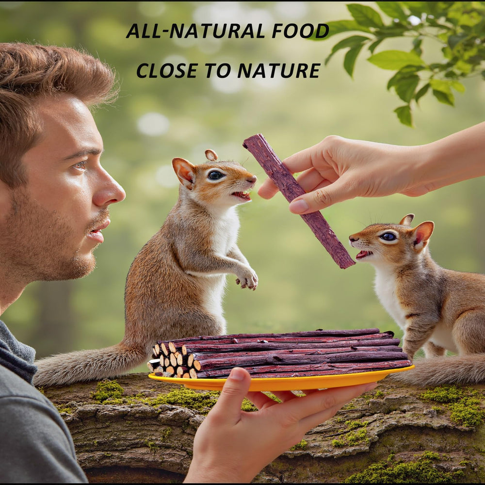 GREMBEB bunny-chew-stick-alfalfa-branch close-up demonstrates nourishing little-pet treat