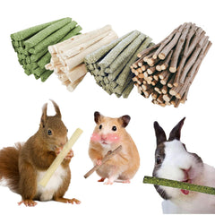 GREMBEB bunny-chew-stick-apple-branch close-up showing natural snack for dental wear