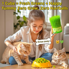 GREMBEB cat grass pellets close-up shows texture that supports dental care