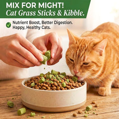 GREMBEB cat grass sticks close-up highlighting natural cat grass for teething and dental-friendly play.