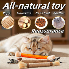 GREMBEB silvervine chew-stick-3 features natural wood texture for sensory chewing
