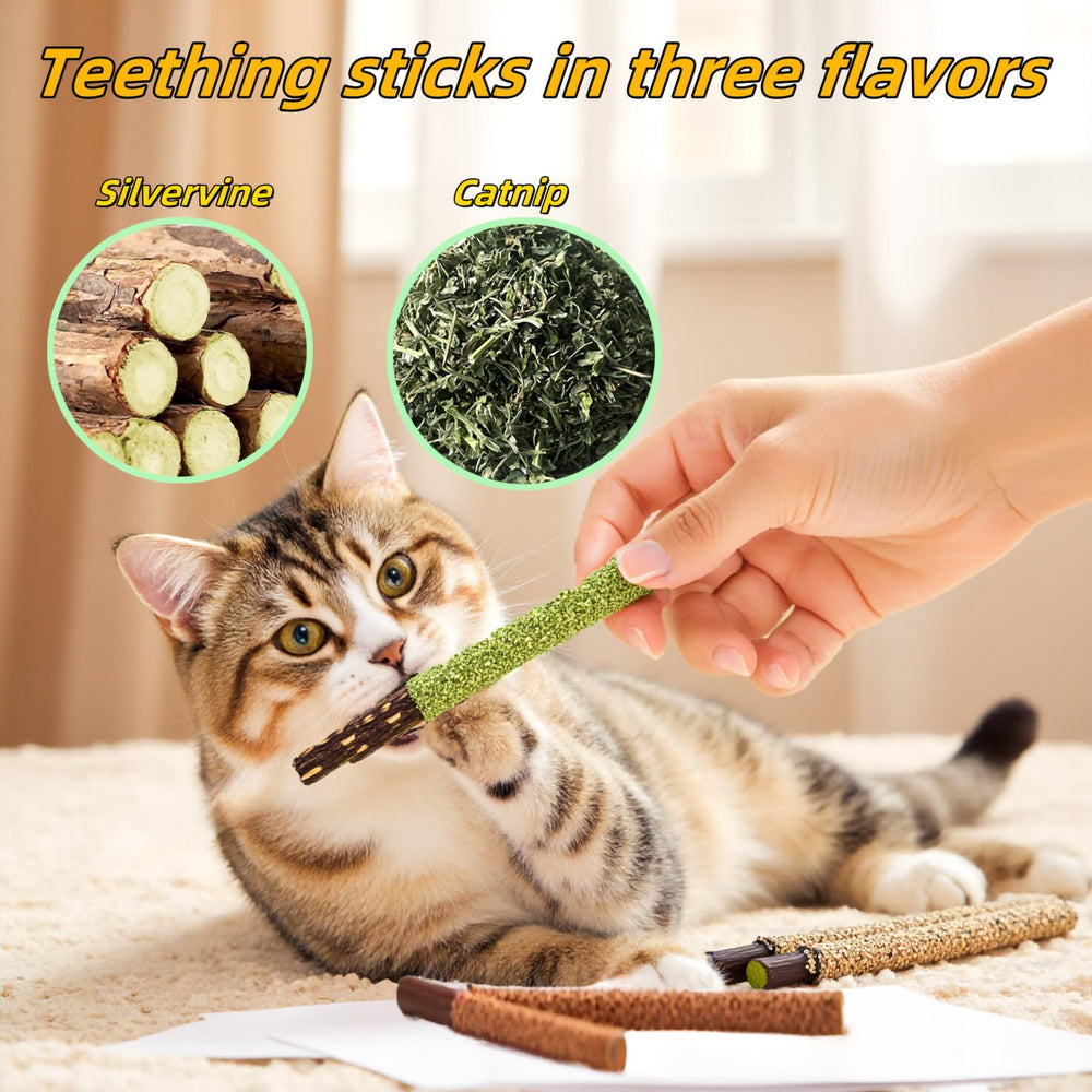 GREMBEB silvervine chew-stick-6 ideal for multi-pet households during enrichment