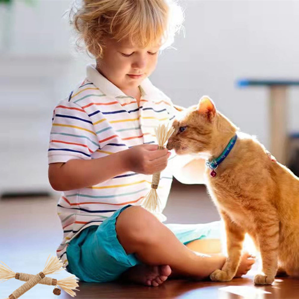 GREMBEB catnip toy in action for interactive play