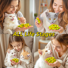 GREMBEB dental chew promotes daily cleaning and fresher breath in indoor cats