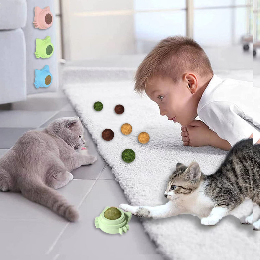 GREMBEB indoor cat toy set offers wall-mounted enrichment for small living spaces.