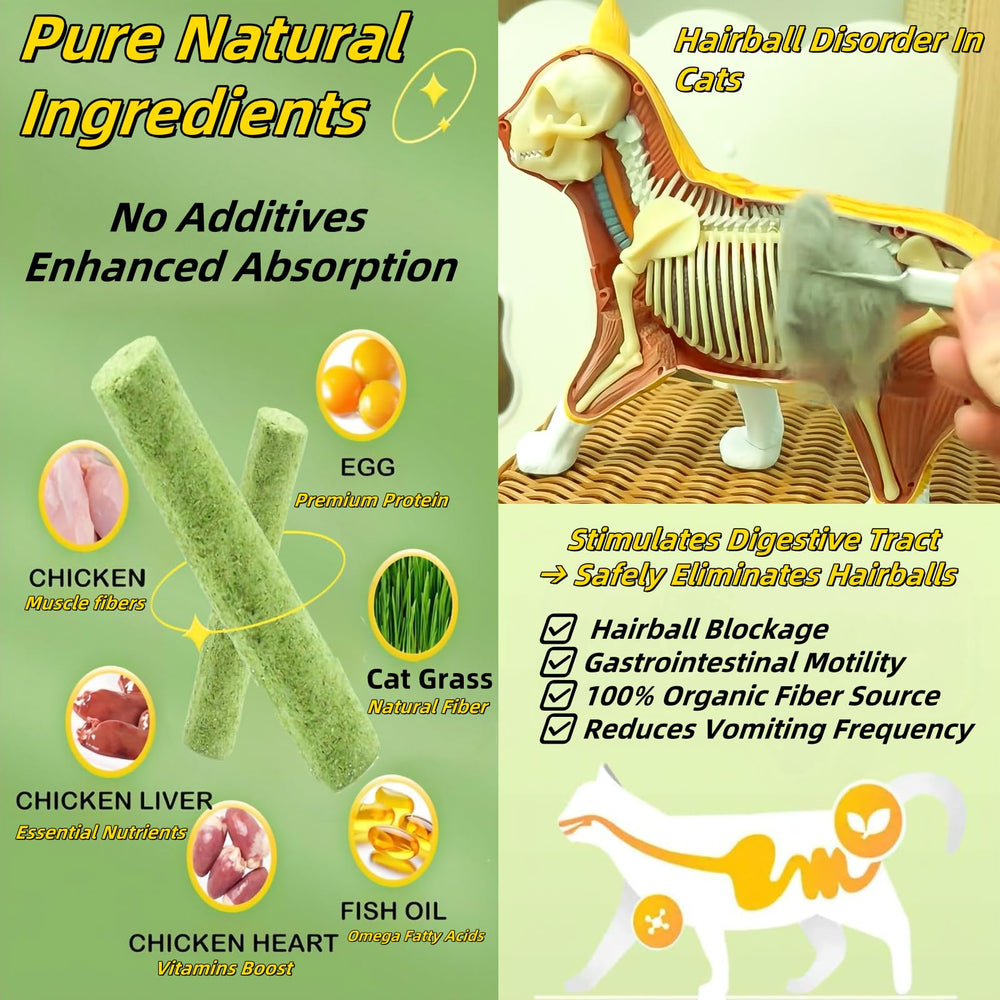 GREMBEB interactive cat play feather stick shows dynamic motion for curious cats.