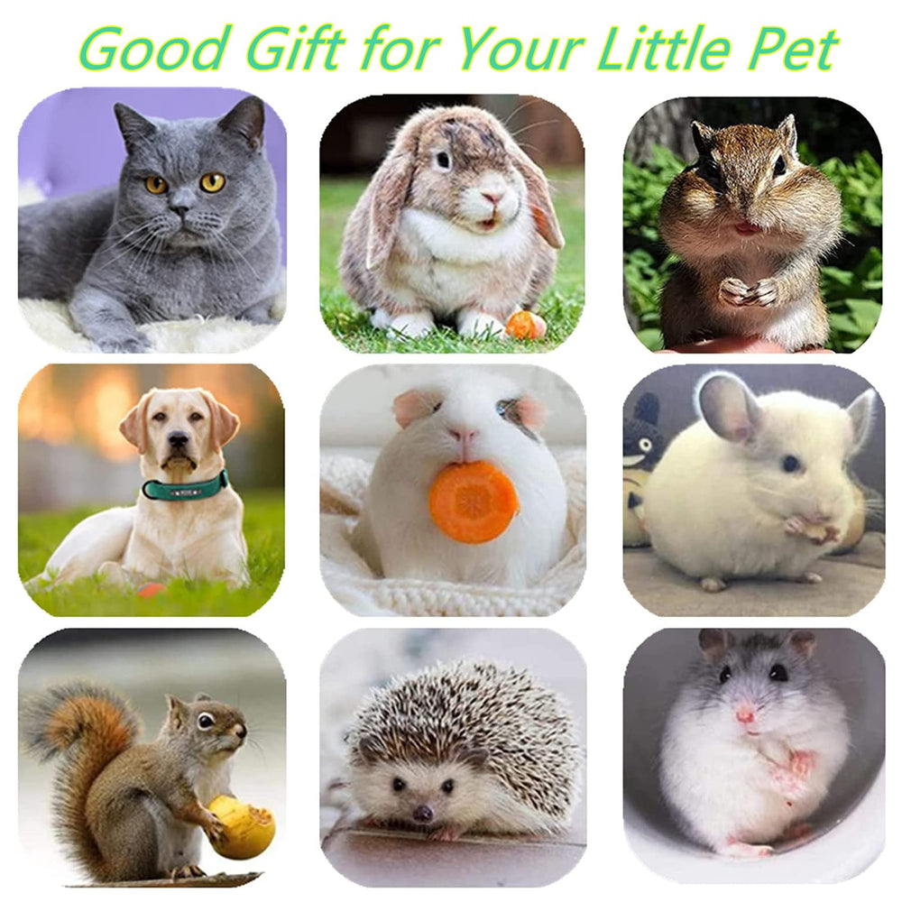 GREMBEB interactive cat toy pack highlights 3-pack versatility for indoor pets