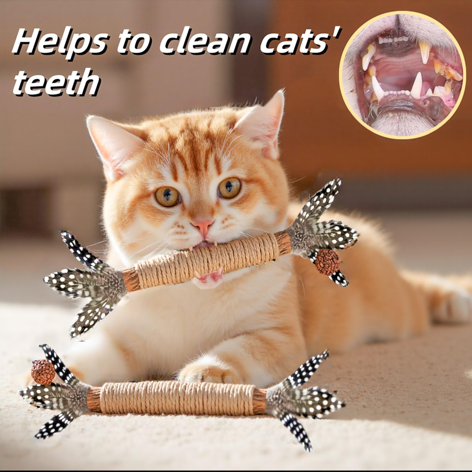 GREMBEB kitten teaser wand encourages playful chewing and self-play