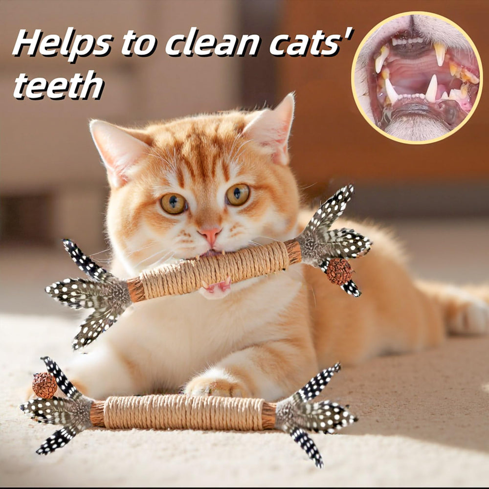 GREMBEB kitten teaser wand encourages playful chewing and self-play