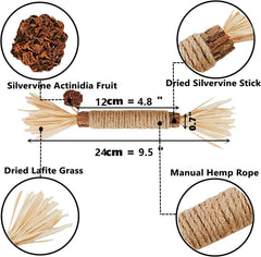 GREMBEB silvervine chew stick close-up with dental-care potential
