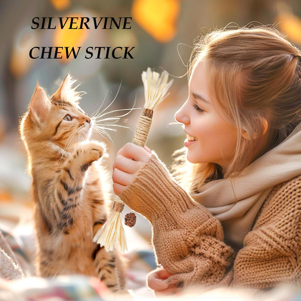 GREMBEB silvervine sticks closeup highlights natural chews that promote stress relief and dental play.
