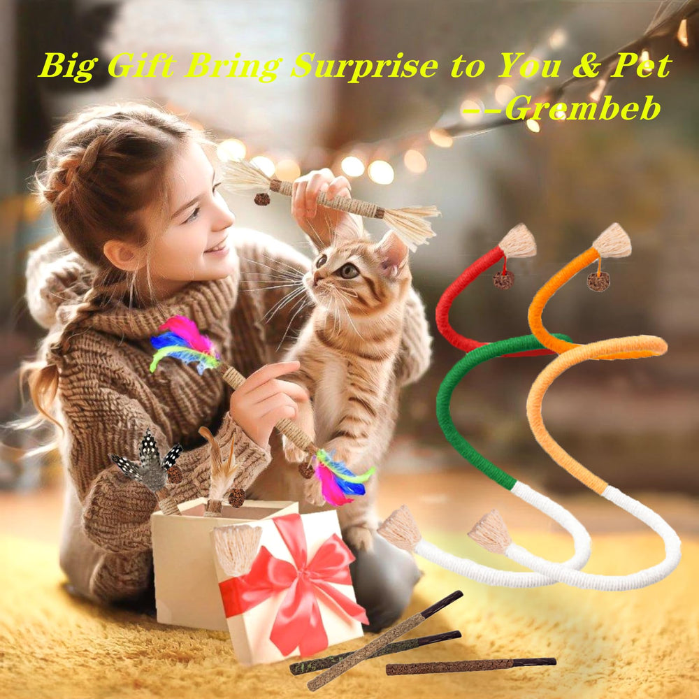 GREMBEB silvervine with colorful feather sparks playful swatting and chase