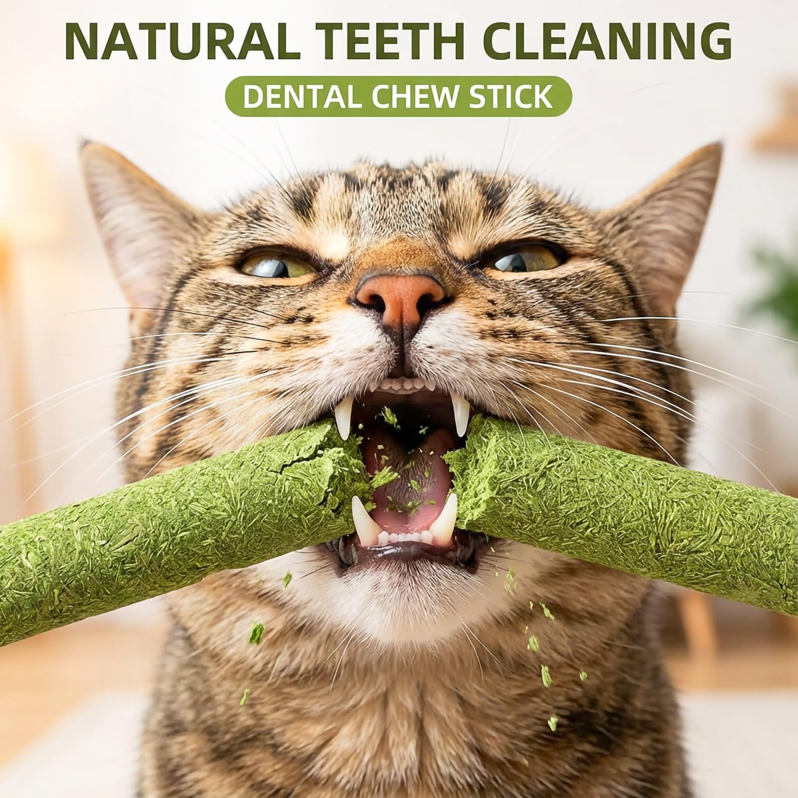 GREMBEB silvervine wood stick close-up emphasizes stimulating chewing and bonding with your cat.