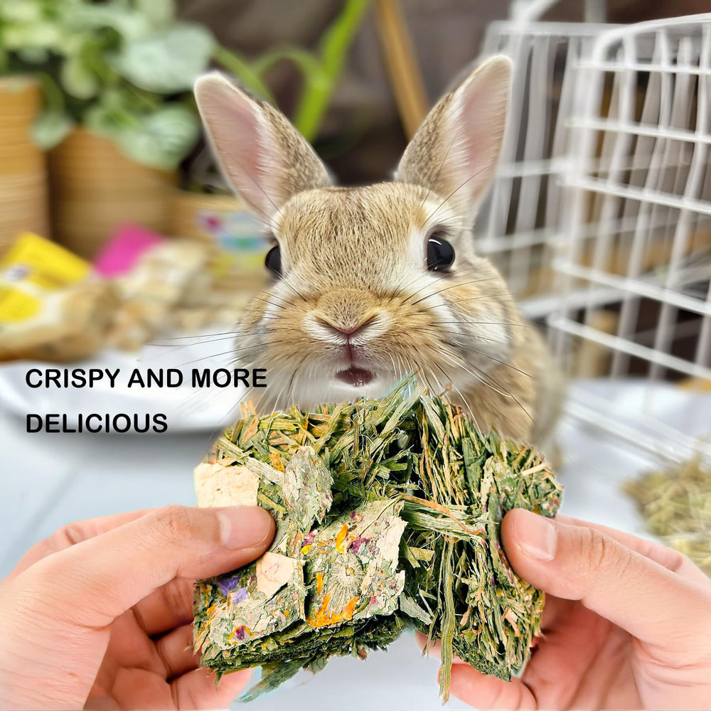 GREMBEB vacuum-packed treats demonstrate hygienic feeding