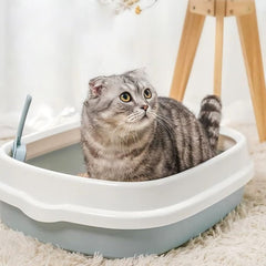 GRETJOB dual pet bowl demonstrates convenient food and water sharing for kittens.