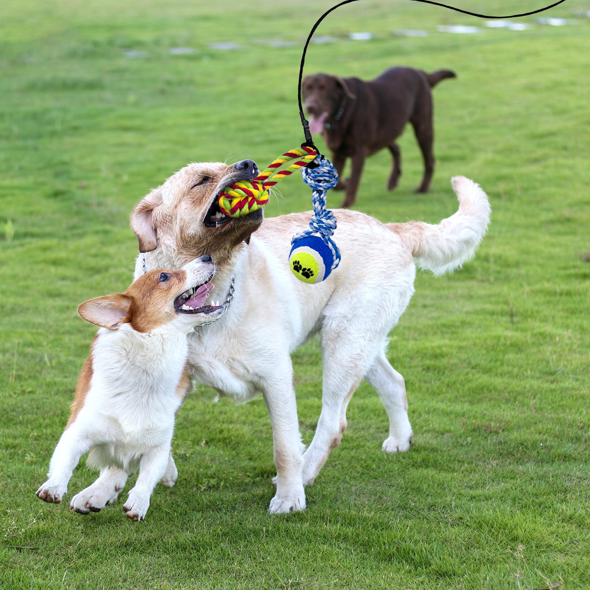 GRETMIX Flirt Pole non-slip handle ensures comfortable control during play.