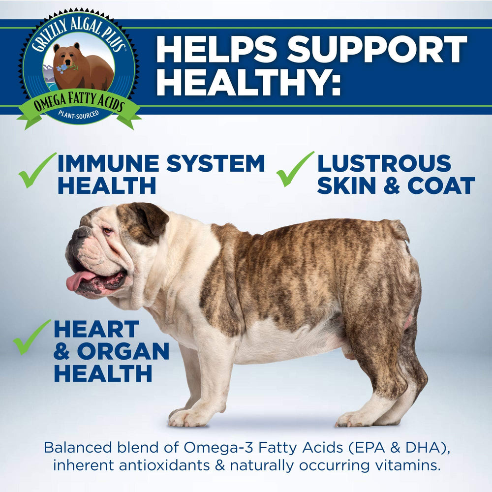 Grizzly Algal Plus Omega 3-6-9 dog illustration – supports heart, nervous system