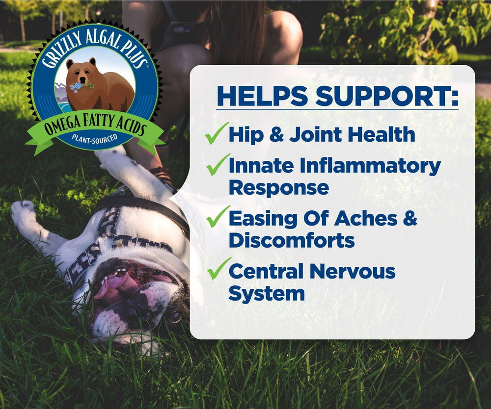 Grizzly Algal Plus Omega 3-6-9 cat close-up – promotes a healthy coat without odor