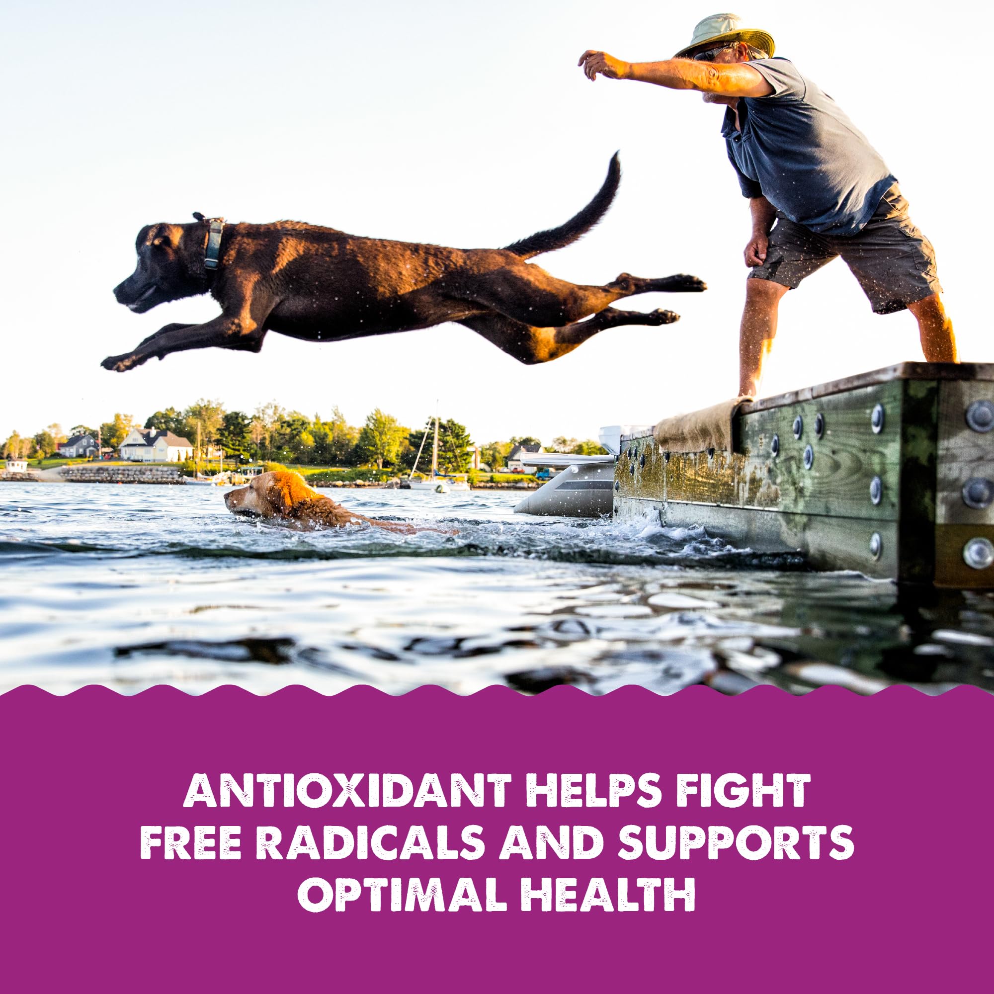 Grizzly Astaxanthin antioxidant supports cellular health in pets.