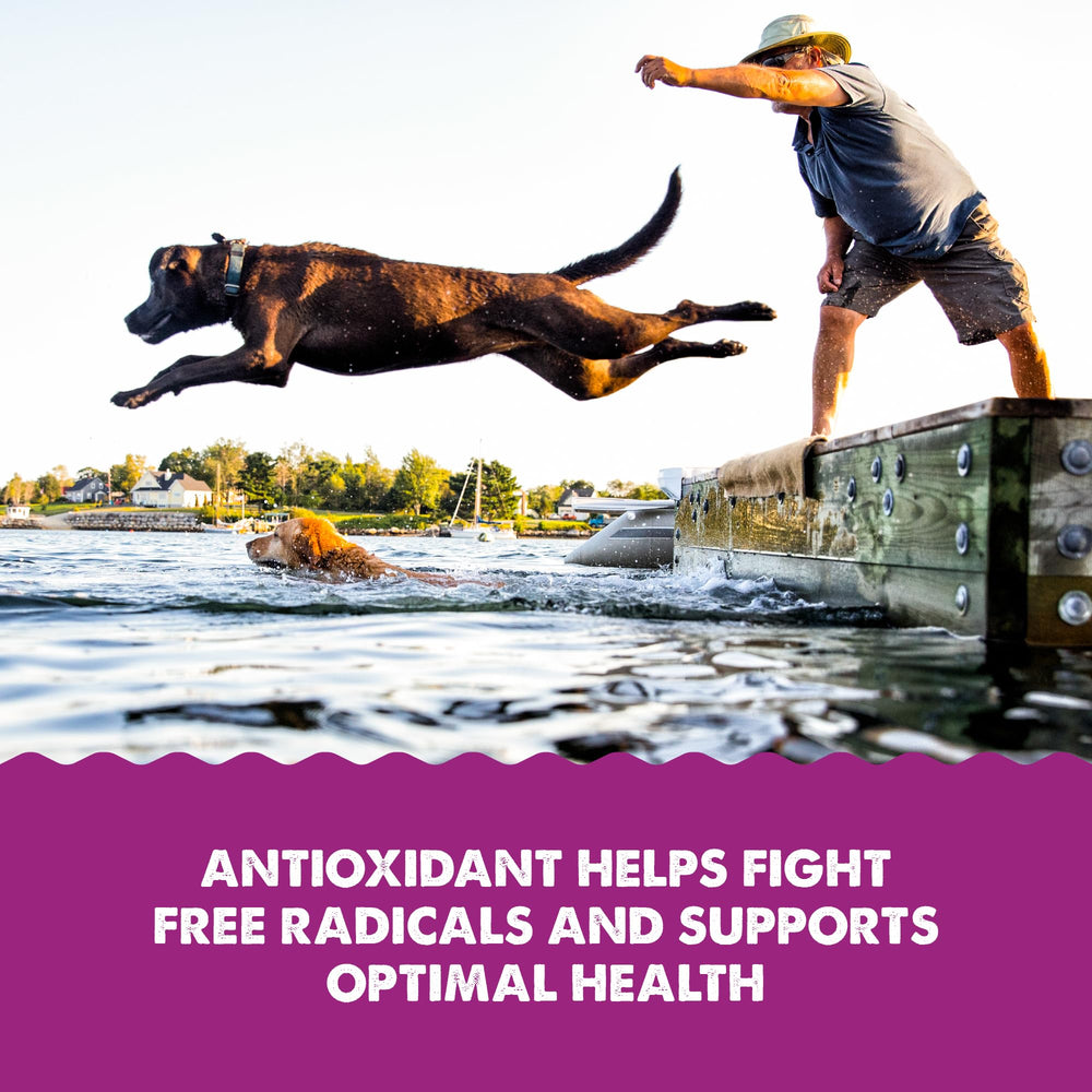 Grizzly Astaxanthin antioxidant supports cellular health in pets.