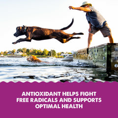 Grizzly Astaxanthin antioxidant supports cellular health in pets.