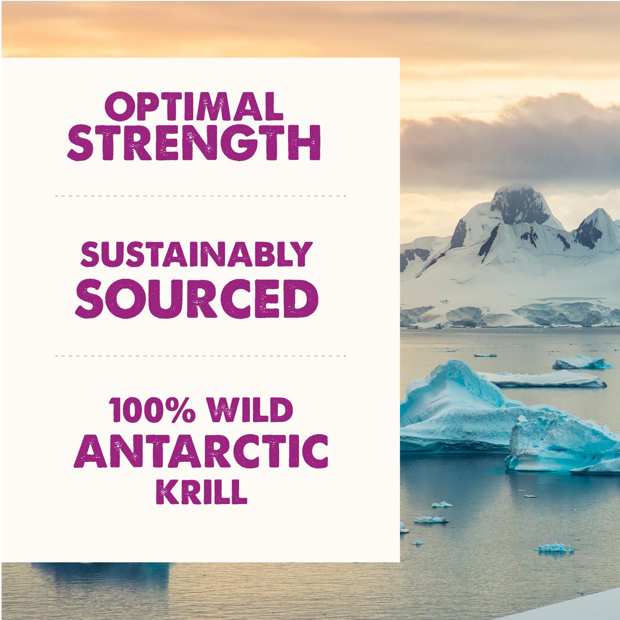 Grizzly NASC-certified quality standards ensure trusted supplement quality.