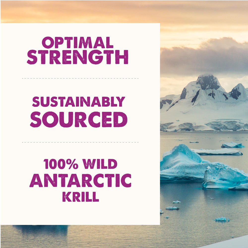 Grizzly NASC-certified quality standards ensure trusted supplement quality.