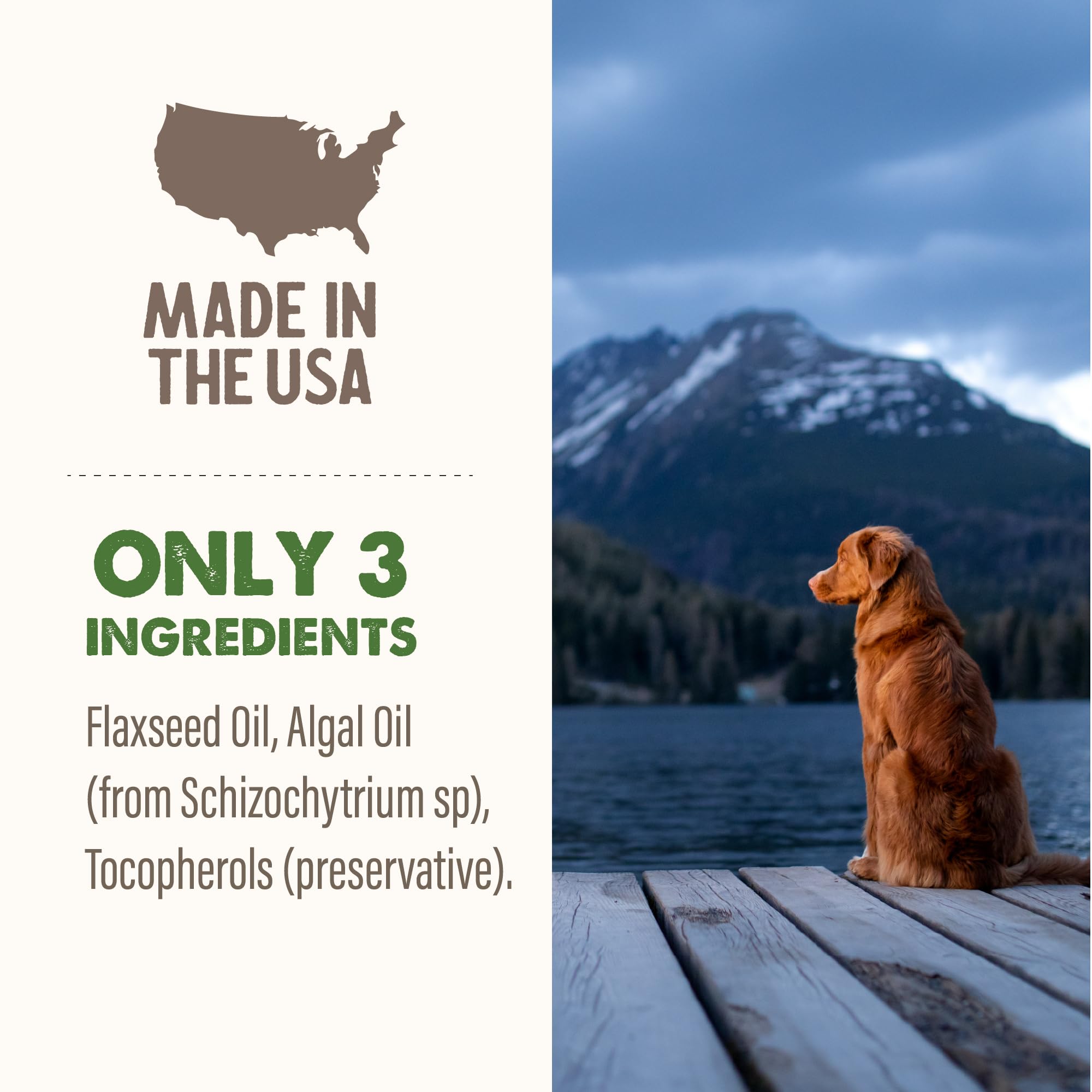 Grizzly Pet Algal Plus bowl-adding-to-meal scene demonstrates simple use.