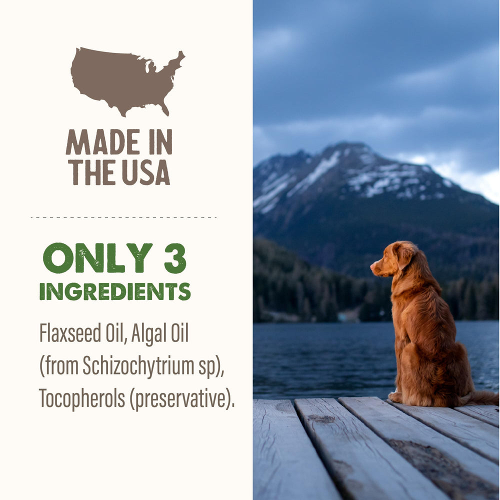 Grizzly Pet Algal Plus bowl-adding-to-meal scene demonstrates simple use.