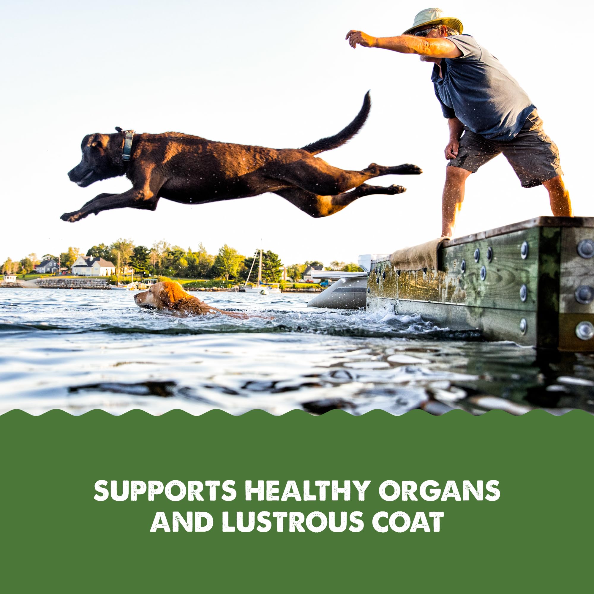 Grizzly Pet Algal Plus omega-3-6-9 visual emphasizes potential skin and coat support.