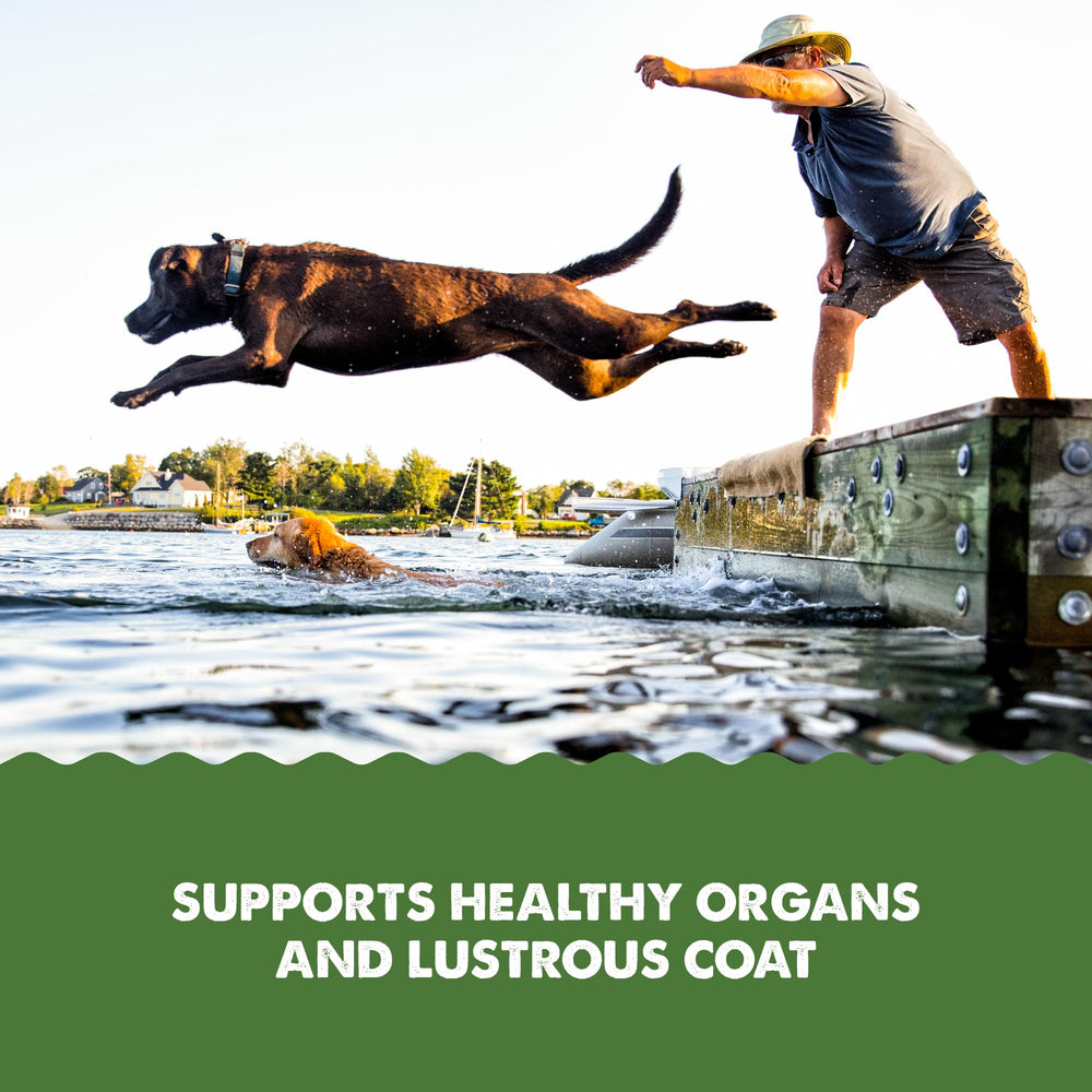 Grizzly Pet Algal Plus omega-3-6-9 visual emphasizes potential skin and coat support.