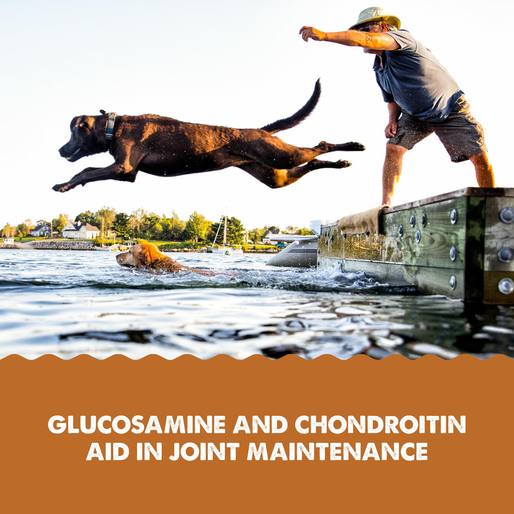 Grizzly Joint Aid dosing scene illustrates everyday use and accessibility