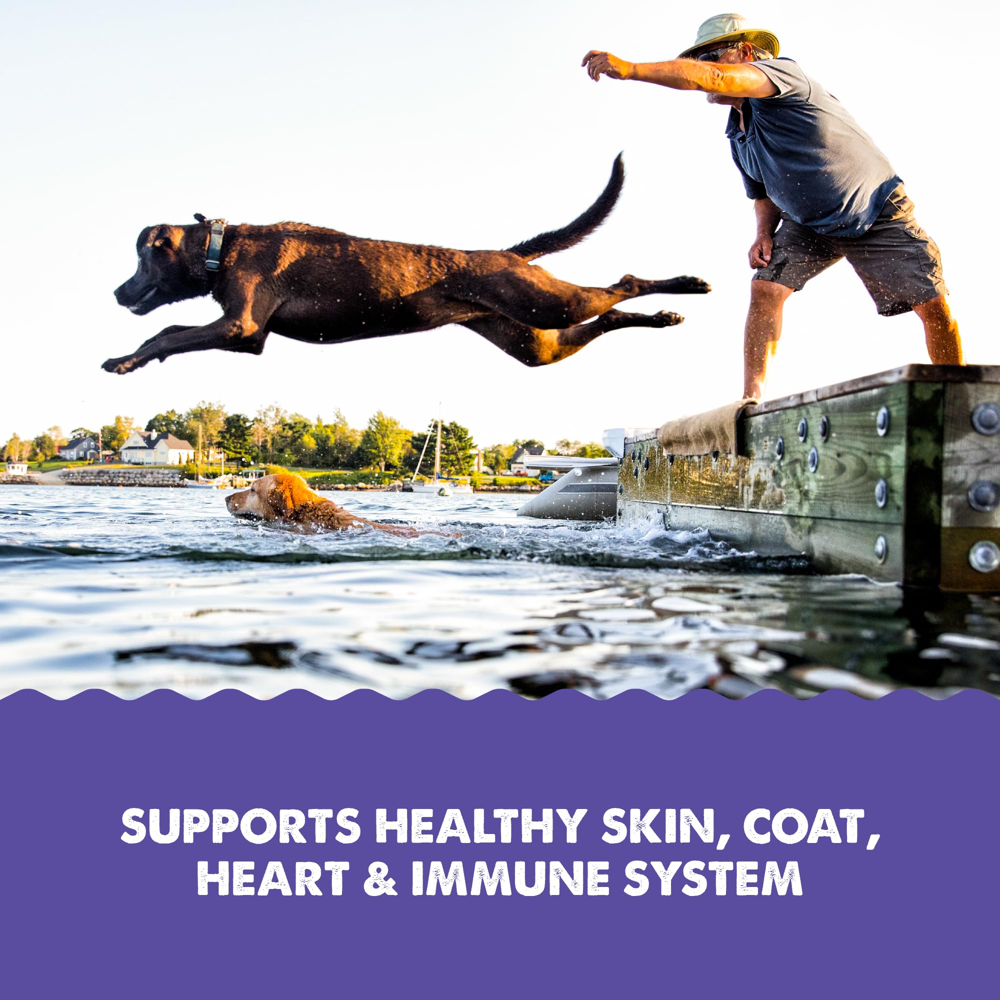 Grizzly Pet Products Omega Health serving image shows easy mix-in for meals.